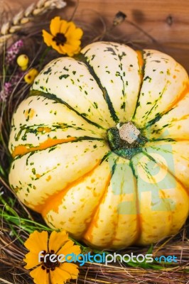 Harvested Pumpkin In A Box With Fall Leaves, Hay And Flowers Stock Photo