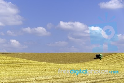 Harvesting Stock Photo