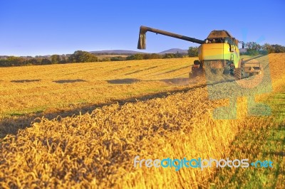 Harvesting Combine In The Field Stock Photo