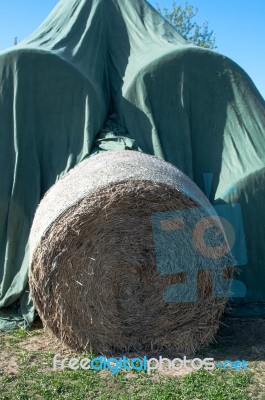 Hay Balls In Plastic Cover Wrap Stock Photo