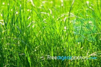 Health And Nature Concept Stock Photo