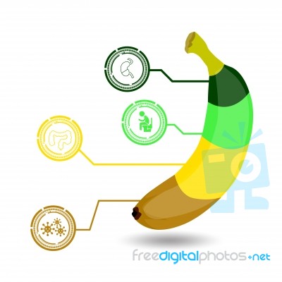 Health Benefits Of Banana Infographics.illustration Stock Image