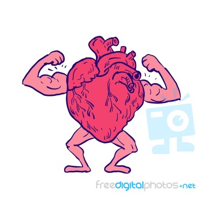 Healthy Heart Flexing Muscle Drawing Stock Image