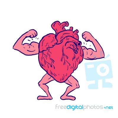 Healthy Heart Flexing Muscle Drawing Stock Image