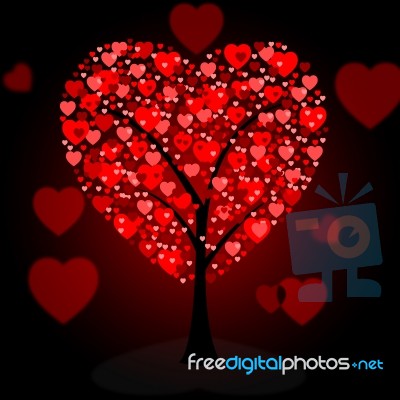 Hearts Tree Means Valentine's Day And Forest Stock Image