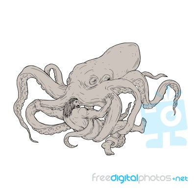Hercules Fighting Giant Octopus Drawing Stock Image