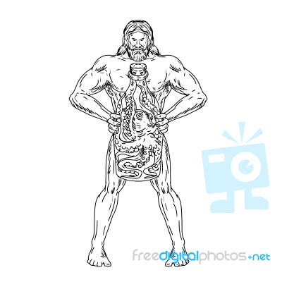 Hercules Hold Bottle Octopus Inside Drawing Black And White Stock Image