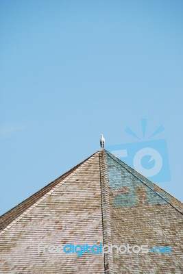Heron Bird On The Top Of A Wooden Structure Stock Photo