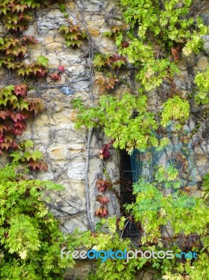 Hever Castle Stock Photo