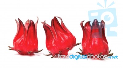 Hibiscus Sabdariffa Or Roselle Fruits Stock Photo