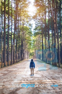 Hiking Man With Backpack Walking In Forest Stock Photo