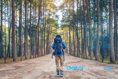 Hiking Man With Backpack Walking In Forest Stock Photo