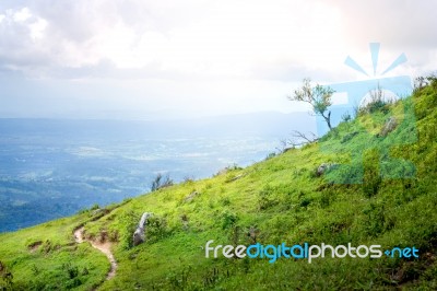 Hiking Way Top Of The Moutain  In The Morning Forest Stock Photo