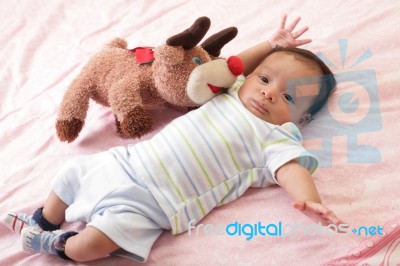 Hispanic Baby With Teddy Bear Laying On Bed Stock Photo
