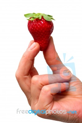 Holding Strawberry Stock Photo