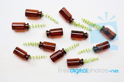 Holy Basil Essential Oil In A Glass Bottle With Fresh Holy Basil… Stock Photo