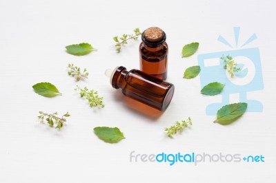 Holy Basil Essential Oil In A Glass Bottle With Fresh Holy Basil… Stock Photo