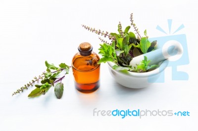 Holy Basil Essential Oil In A Glass Bottle With Fresh Holy Basil… Stock Photo