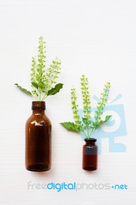 Holy Basil Essential Oil In A Glass Bottle With Fresh Holy Basil… Stock Photo