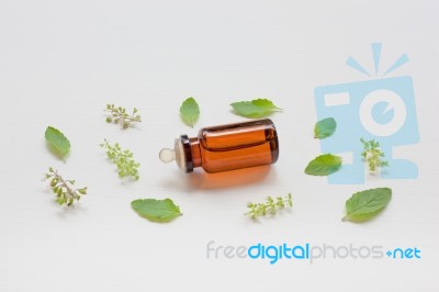 Holy Basil Essential Oil With Leaves Stock Photo