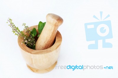 Holy Basil In Wooden Mortar  On White Background Stock Photo