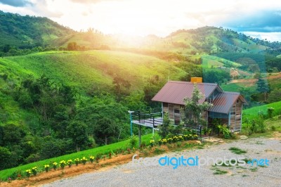 Home Foothill With Beautiful Green Nature Stock Photo