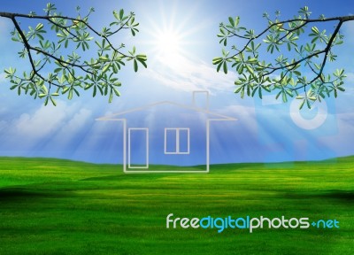 Home In Beautiful Green Grass Field Stock Photo