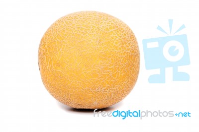 Honeydew Melon Isolated On A White Background Stock Photo