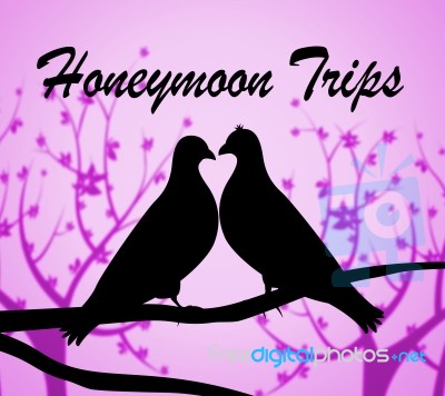 Honeymoon Trips Represents Travel Guide And Break Stock Image