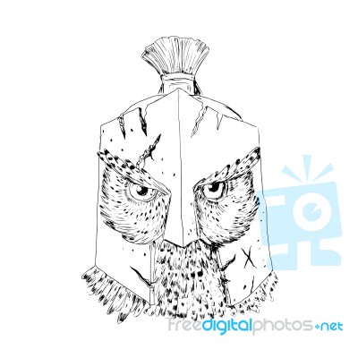 Horned Owl Spartan Helmet Drawing Stock Image