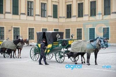 Horse And Carriage At The Schonbrunn Palace In Vienna Stock Photo