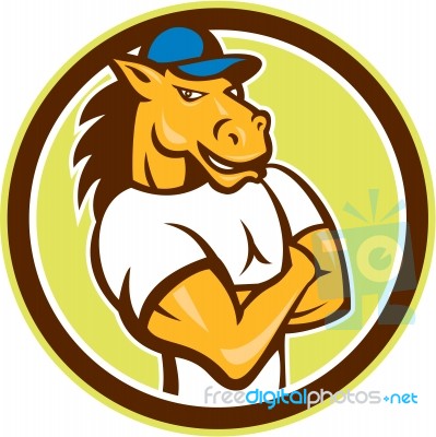 Horse Arms Crossed Circle Cartoon Stock Image