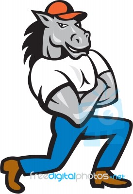 Horse Arms Crossed Kneeling Cartoon Stock Image