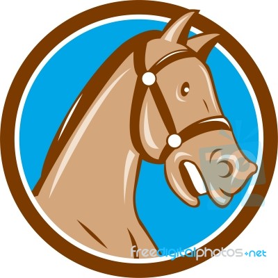Horse Head Bridle Circle Cartoon Stock Image
