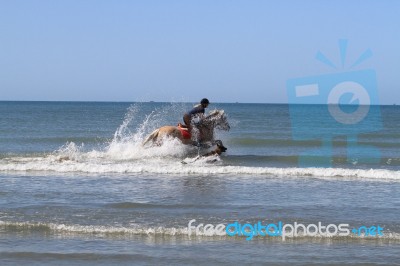Horse Riding In The Sea Stock Photo