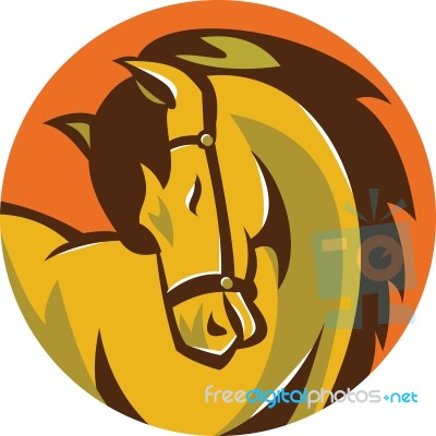Horse Stallion Head Circle Retro Stock Image