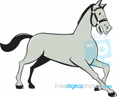Horse Trotting Side Cartoon Isolated Stock Image