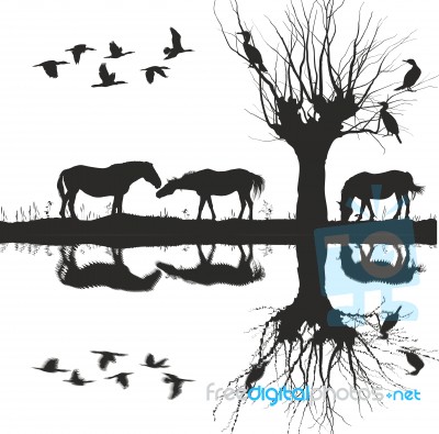 Horses Near The Lake And Cormorants On Tree Stock Image