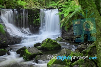 Horseshoe Falls In Mount Field National Park Stock Photo