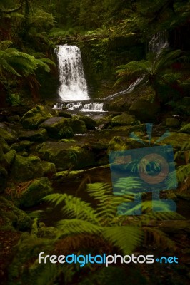 Horseshoe Falls In Mount Field National Park Stock Photo