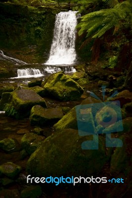 Horseshoe Falls In Mount Field National Park Stock Photo