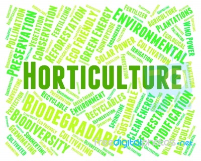 Horticulture Word Indicates Flower Garden And Agrarian Stock Image