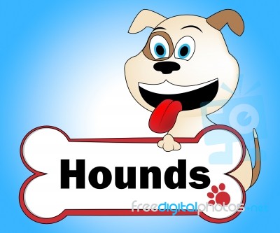 Hound Dog Represents Dogs Pet And Canine Stock Image