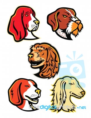 Hound Dogs Mascot Collection Stock Image