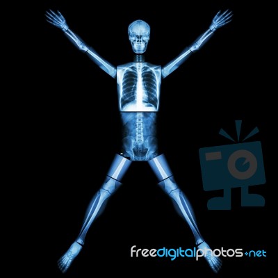Human Bone Is Stretching Arm And Leg (whole Body : Head Neck Spine Back Abdomen Chest Shoulder Arm Elbow Forearm Hand Wrist Lung Heart Pelvis Hip Thigh Leg Knee Ankle Foot Finger Heel ) Stock Photo