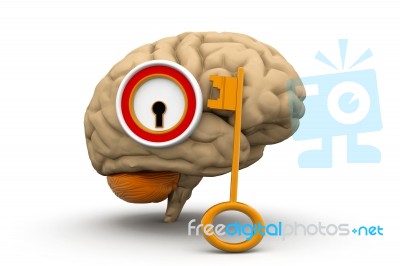 Human Brain With Key Stock Image