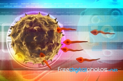Human Egg Insemination Stock Image