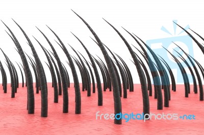 Human Hair Stands Stock Image