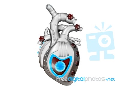 Human Heart  Stock Image