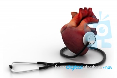 Human Heart And Stethoscope Stock Image